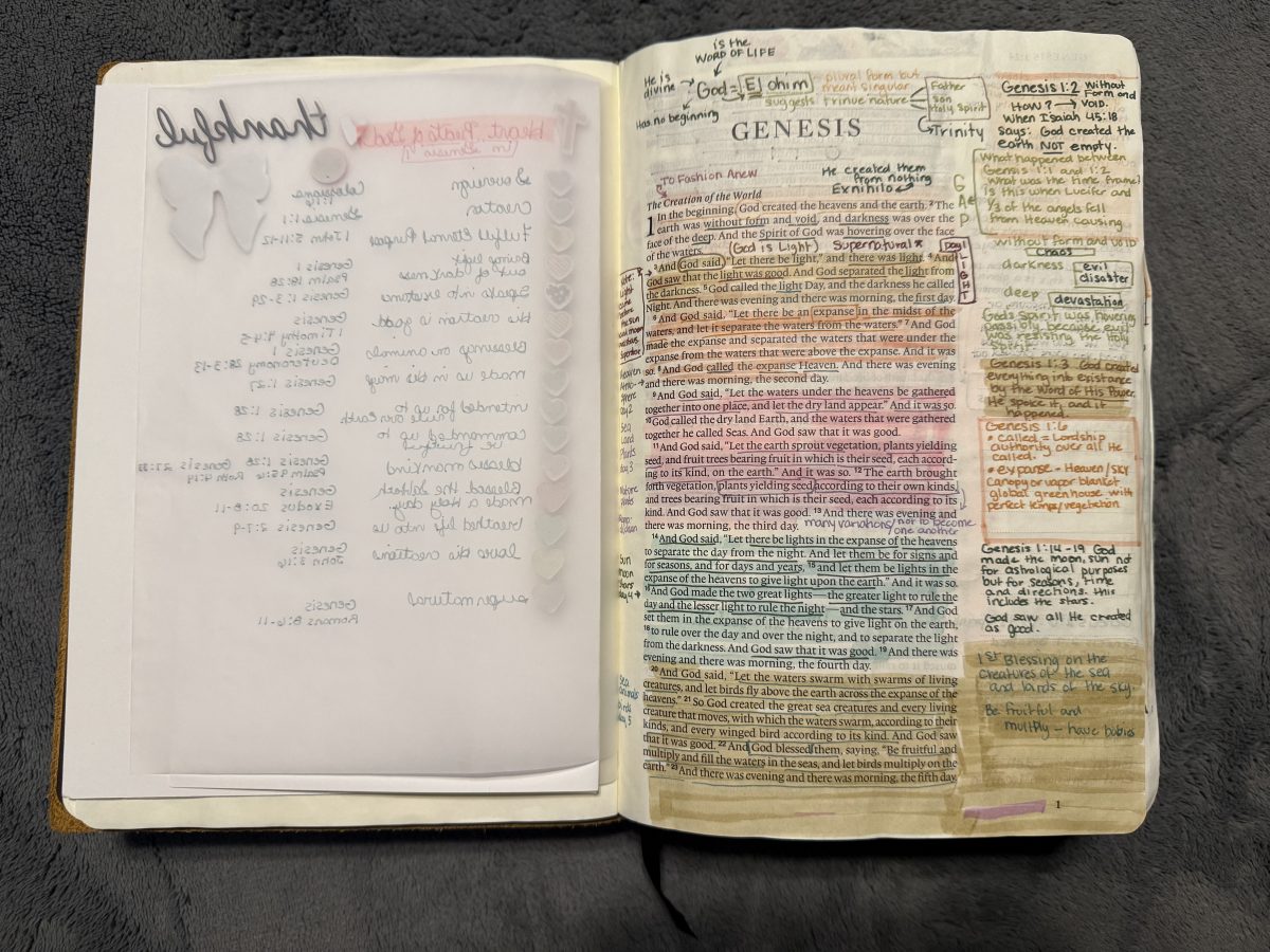 Genesis 1-11 Bible Study Notes - Creative Jesus Girl - Page 4