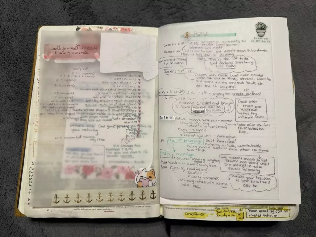 Genesis 1-11 Notes 7