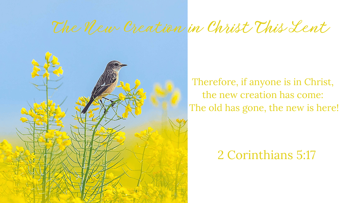 Creative Jesus Girl new creation in Christ Lent journal - Bible Journaling